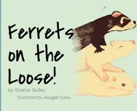 Ferrets on the Loose!