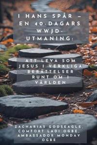 I Hans Spår - En 40-dagars WWJD-utmaning - Att leva som Jesus i verkliga berättelser runt om i världen