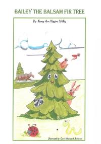 Bailey The Balsam Fir Tree