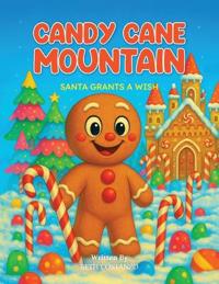 Santa Grants a Wish-Candy Cane Mountain