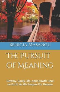 The Pursuit of Meaning