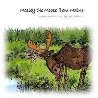 Mosley the Moose from Maine