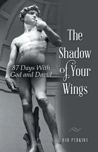 The Shadow of Your Wings