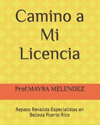Camino a Mi Licencia
