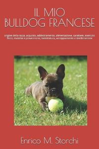 Il mio bulldog francese