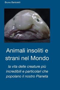 Animali insoliti e strani nel Mondo