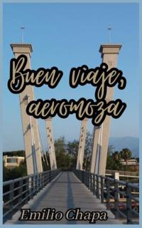 Buen viaje, aeromoza