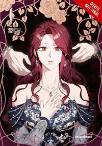 Not Your Typical Reincarnation Story, Vol. 1