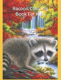 Racoon Coloring Book For Kids