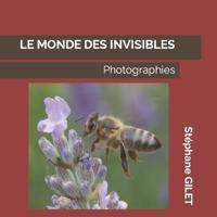 Le Monde Des Invisibles