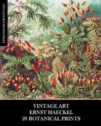 Vintage Art