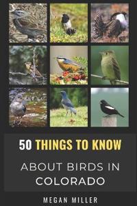 50 Things to Know About Birds in Colorado