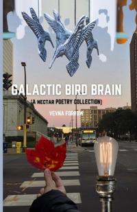 Galactic Bird Brain [A Nectar Poetry Collection]