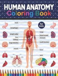Human Anatomy Coloring Book For Kids