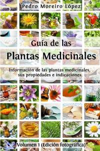 Guía de las plantas medicinales
