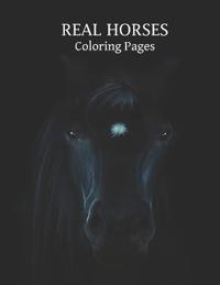 REAL HORSES Coloring Pages