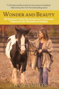 Wonder and Beauty