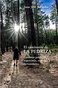 El caminante de La Pedriza