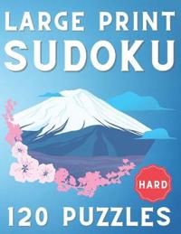 Large Print Sudoku