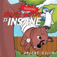 Bokomslag for "Bruce Wayne Is Insane"