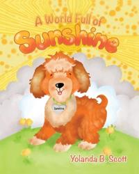 A World Full of Sunshine