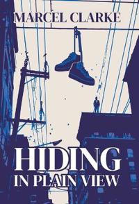 Hiding in Plain View