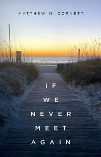Bokomslag for "If We Never Meet Again"