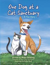 One Dog at a Cat Sanctuary
