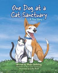 One Dog at a Cat Sanctuary
