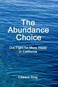The Abundance Choice