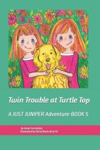 Twin Trouble at Turtle Top