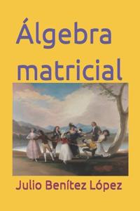 Álgebra matricial