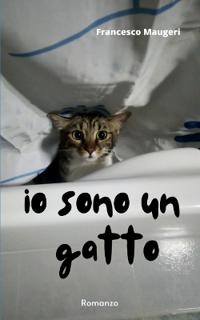 Io sono un gatto