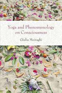 Yoga and Phenomenology on Consciousness