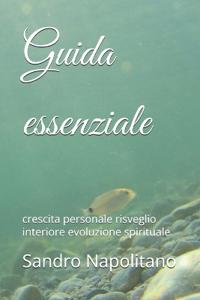 Guida essenziale