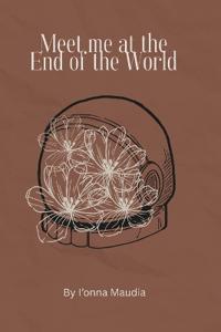 Meet me at the end of the world