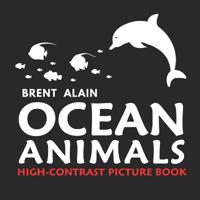 Ocean Animals