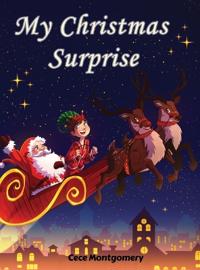 Bokomslag för "My Christmas Surprise"