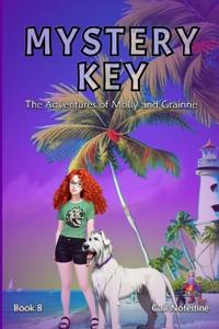 Bokomslag for "Mystery Key"