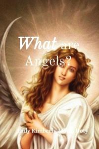 Bokomslag för "What Are Angels?"