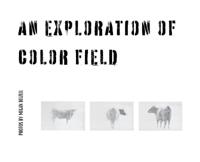 Bokomslag för "An Exploration In Color Field"