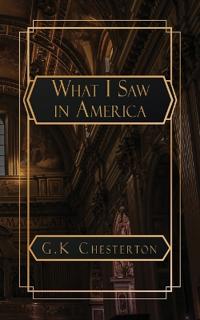 What I Saw in America
