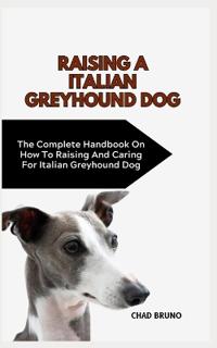 Italian Greyhound Dog
