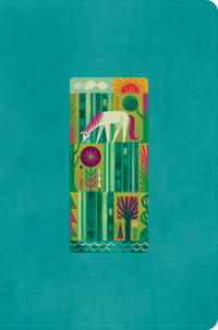 ESV The Biggest Story Holy Bible for Kids