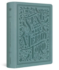 ESV Single Column Journaling Bible, Large Print
