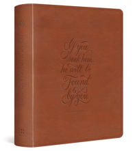 Bokomslag för "ESV Journaling Study Bible"