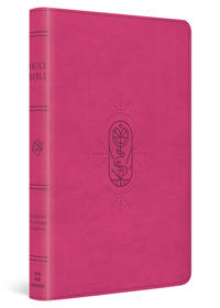 ESV Holy Bible for Kids