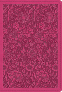 ESV Large Print Compact Bible, Red Letter