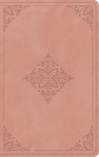 ESV Giant Print Value Personal Size Bible