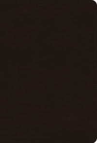 ESV Giant Print Thinline Bible, Red Letter